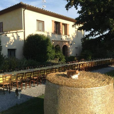 Agriturismo Giuncola & Granaiolo 리스페샤 외부 사진