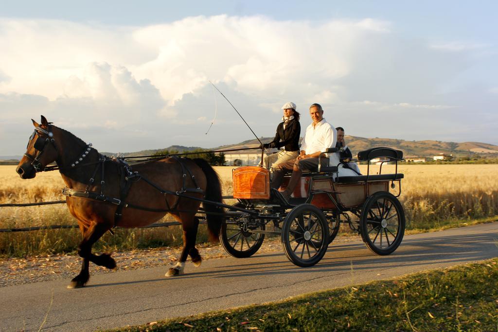 Agriturismo Giuncola & Granaiolo 리스페샤 외부 사진