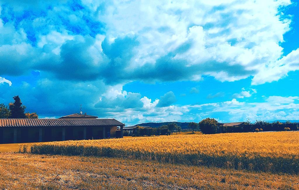 Agriturismo Giuncola & Granaiolo 리스페샤 외부 사진