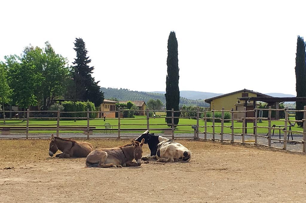 Agriturismo Giuncola & Granaiolo 리스페샤 외부 사진