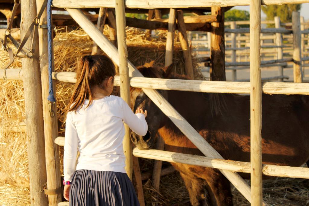 Agriturismo Giuncola & Granaiolo 리스페샤 외부 사진