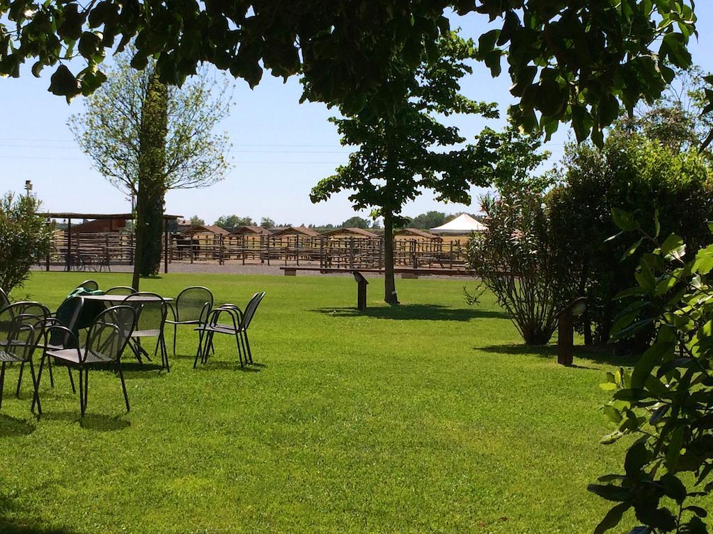 Agriturismo Giuncola & Granaiolo 리스페샤 외부 사진