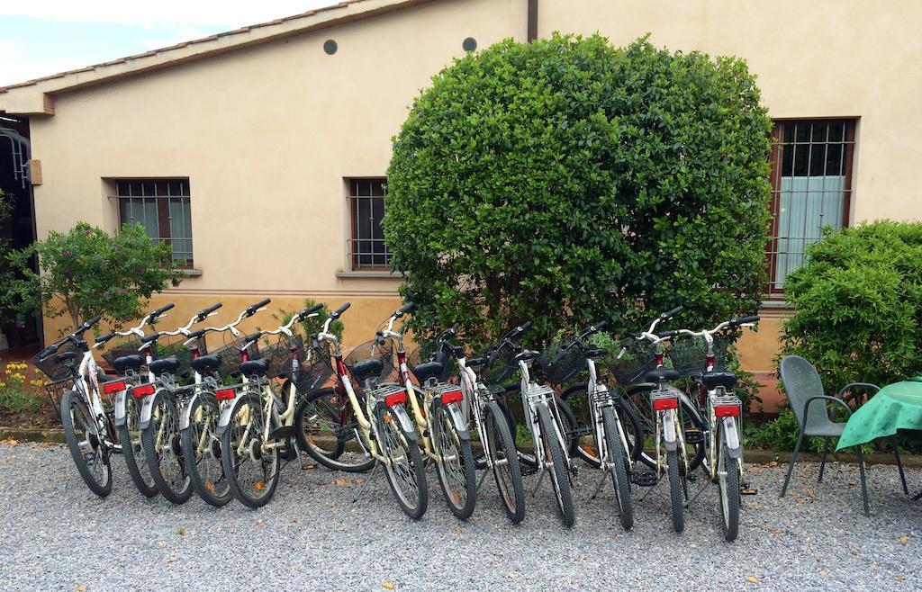 Agriturismo Giuncola & Granaiolo 리스페샤 외부 사진