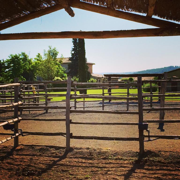 Agriturismo Giuncola & Granaiolo 리스페샤 외부 사진