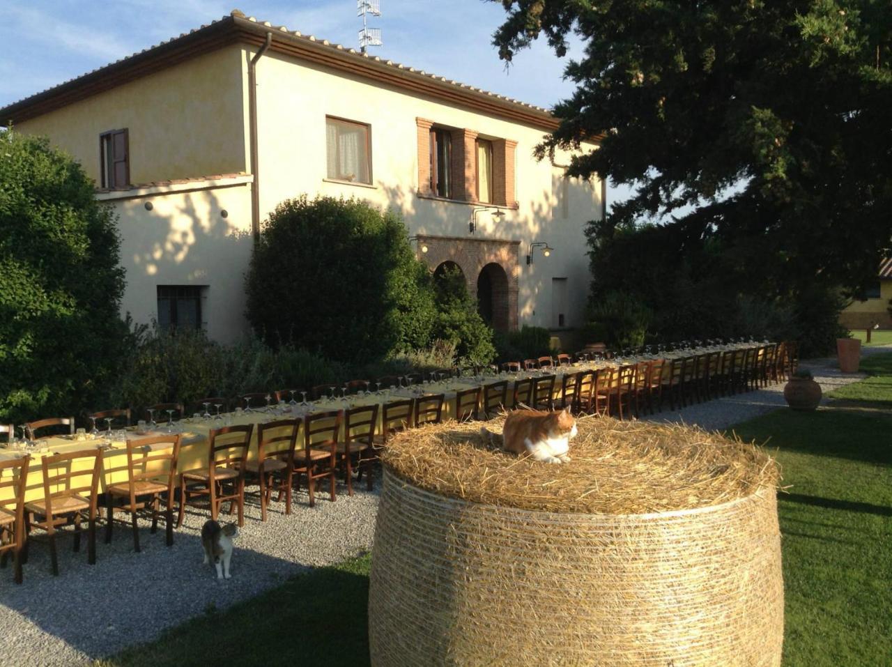 Agriturismo Giuncola & Granaiolo 리스페샤 외부 사진